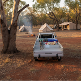 Dogs in ute tray with DivideUte TrayDivider at campsite